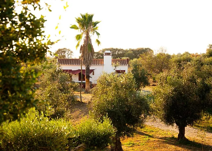Monte Da Coelha Al